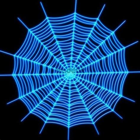 Blue spider web, 3D Illustration - Download Animals