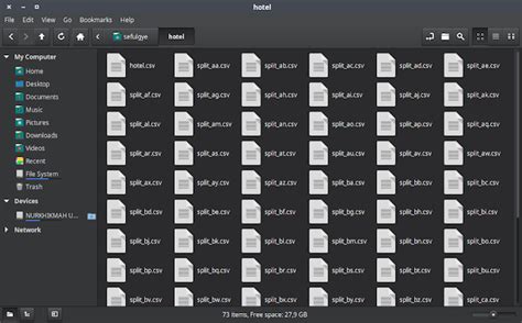 Ways to Split Large File for CSV or TXT on Linux Mint - LinuxGUI.com
