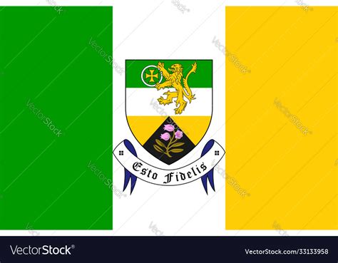 Flag county offaly in ireland Royalty Free Vector Image