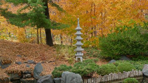 Visiting the Minnesota Landscape Arboretum in Fall - My Northern Garden