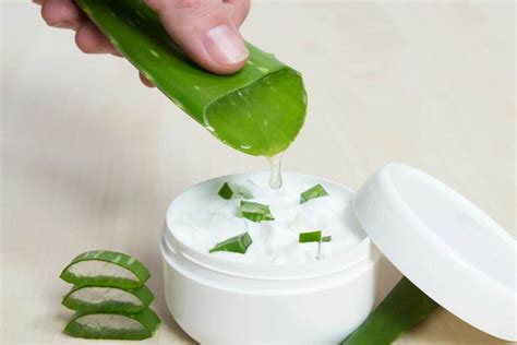 6 Ways to DIY Aloe Vera Moisturizer at Your Own Comfort