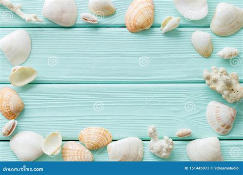 Shells Frame and Seaside Background for Blog or Desktop on Mint Green ...