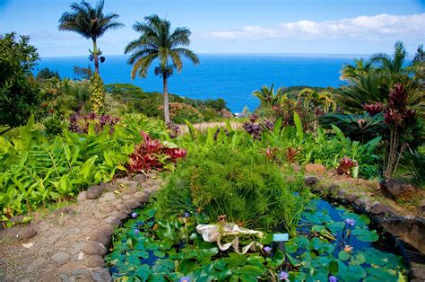 Kula Botanical Garden Kula, Maui, Hawaii, USA | Places I've been | Pinterest | Hawaii usa, Maui ...