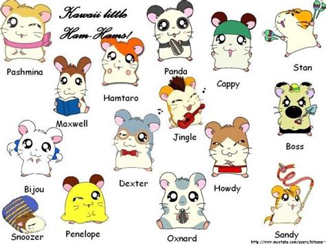 Hamtaro, Kawaii anime, Cool cartoons