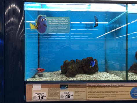 This pet store is using Finding Dory to NOT sell fish : r/mildlyinteresting