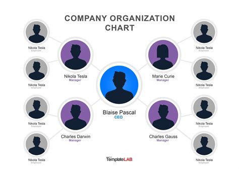 41 Organizational Chart Templates (Word, Excel, PowerPoint, PSD)