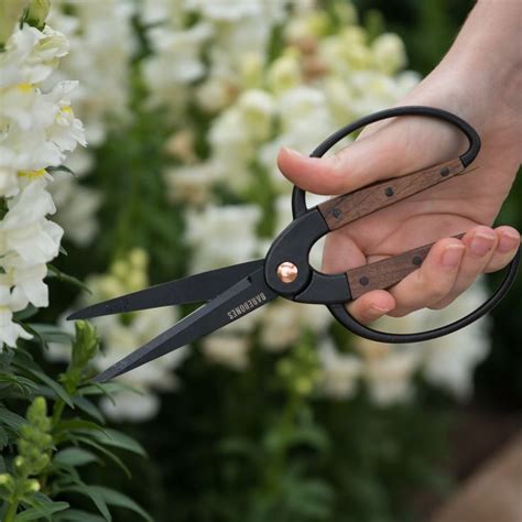 Large Gardening Scissors (With images) | Garden scissors, Planting ...