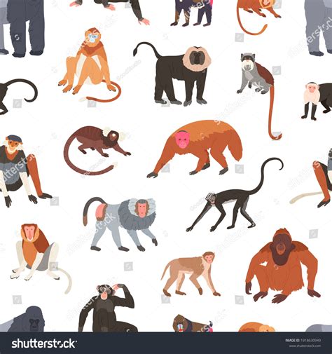 1,032 Chimps Wallpapers Images, Stock Photos & Vectors | Shutterstock