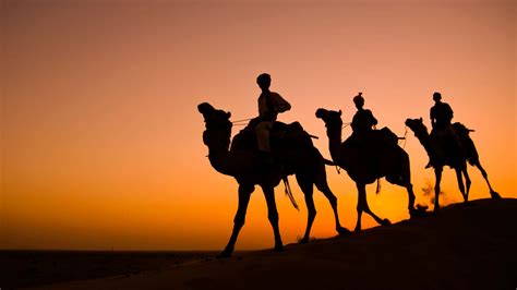 Thar Desert Camel Safari from Jodhpur