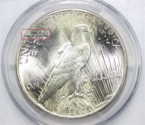 1925 Peace Silver Dollar Ms 65 Pcgs (9097)