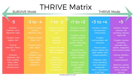 Are You in SURVIVE Mode or THRIVE Mode?