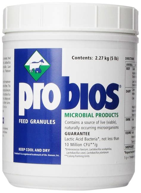 Best Probiotics For Horses - Best Horse Gears