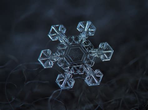 Les incroyables photos de flocons de neige en macrophotographie de ...