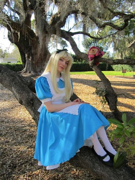 Alice in Wonderland Costume - Etsy