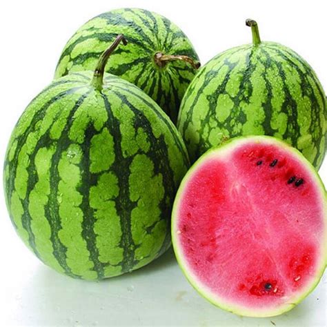 2019 2016 Chinese Watermelon Seeds To Choose Delicious Fruit Water Melon Seeds Bonsai Plants ...