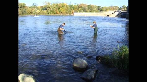 Salmon fishing and fish ladder. St Joseph river, Berrien Springs - YouTube