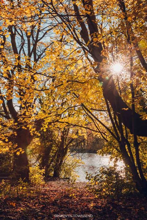 Autumn in London: Where to find the best fall colours 2022 — Bronwyn ...