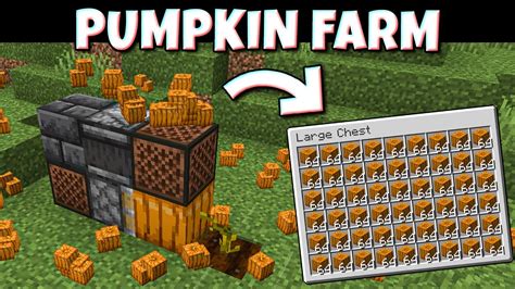 Auto Pumpkin Farm for Minecraft 1.19 - Easy & Compact Farm With Note Blocks - YouTube