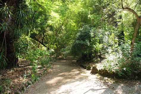 Gardens of Lisbon - Jardim Botânico | Beautiful gardens, Lisbon, Plant life