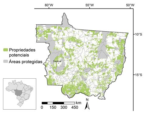 Amazon initiative pays farmers and ranchers to keep the forest standing