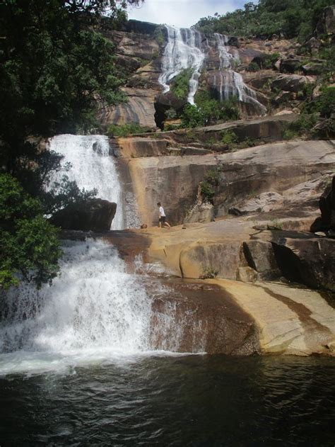 Alligator Creek, Australia: All You Must Know Before You Go (2024) - Tripadvisor