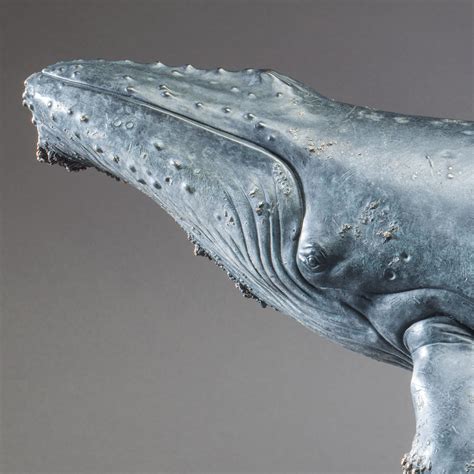 Humpback Whale, by Nick Bibby - 1/20th scale Bronze Whale Sculpture