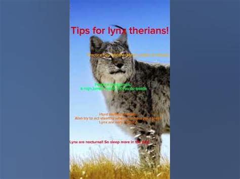 Tips for lynx therians!! [ #therianthropy #therian #fypシ #lynxtherian #foryou ] - YouTube