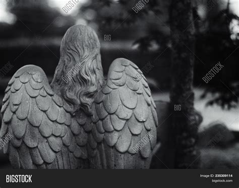 Gothic Angel Statue Image & Photo (Free Trial) | Bigstock