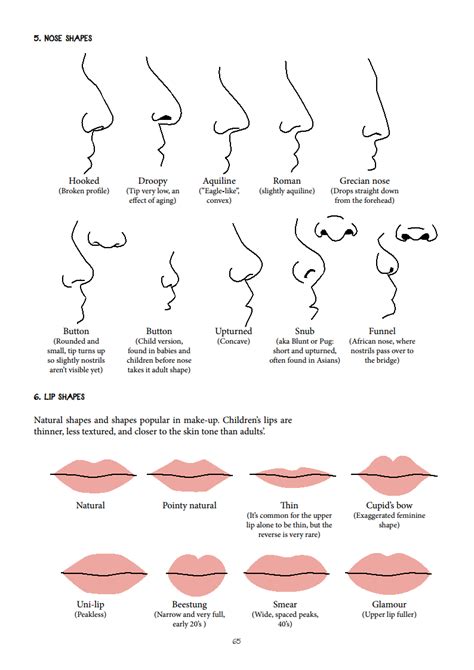 nose shapes - Google Search | Lip shapes, Nose shapes, Shape chart