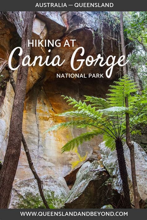 Cania Gorge in Central Queensland is said to be a "mini Carnarvon Gorge ...