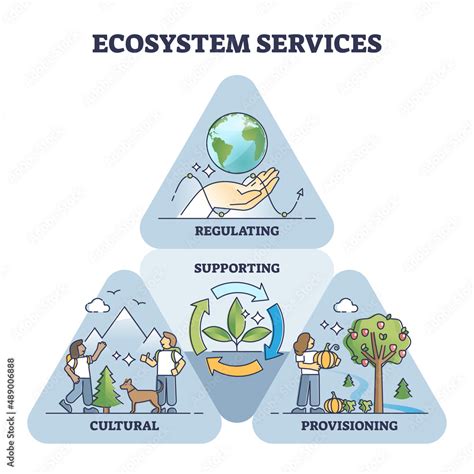 Ecosystem services as environmental regulation and supporting outline ...