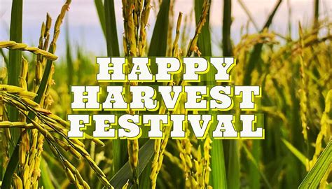 Check Out Some of the Popular Indian Harvest Festivals In 2023