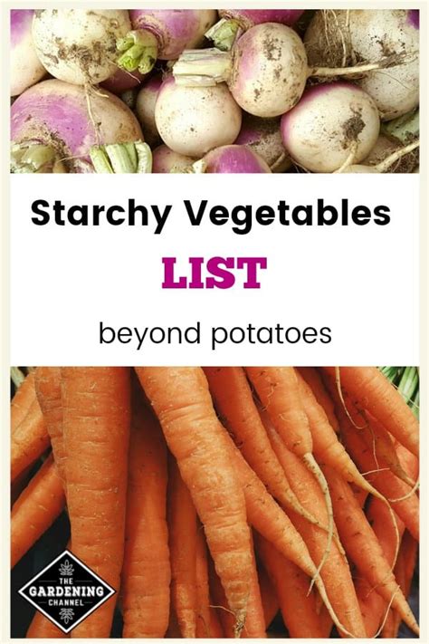 List of Starchy Vegetables - Gardening Channel