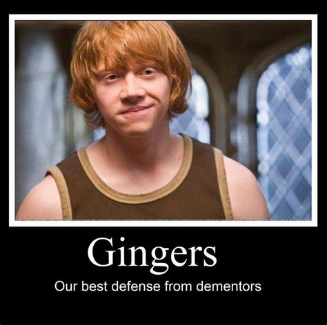 Ron Weasley Memes | Harry Potter Amino