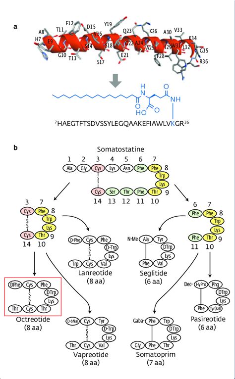 Examples of modification of oligopeptides leading to a change in their ...