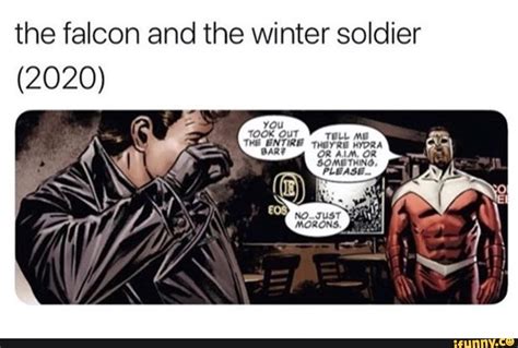 The falcon and the winter soldier (2020) - ) | Winter soldier, Falcon marvel, Marvel funny