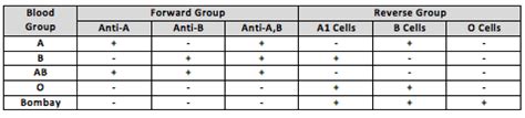 Bombay Blood Group Test Procedure | petmycatuss