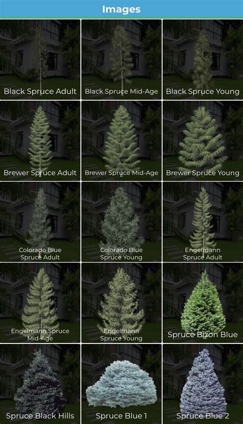 Check out all of the different Spruce features on iScape’s image database: