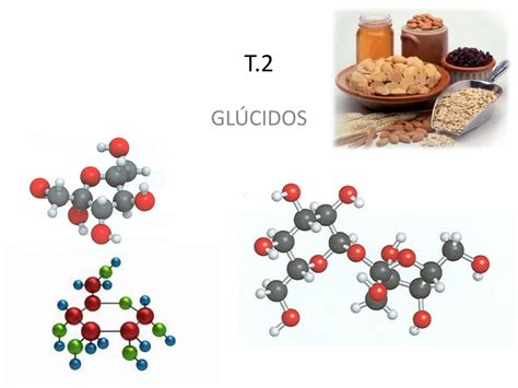 Funciones de los Glúcidos by Paty Astudillo - Issuu