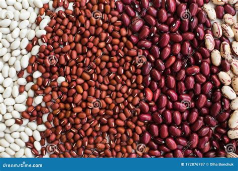 Different Varieties of Bean Seeds. Beans Background Stock Image - Image of haricot, organic ...