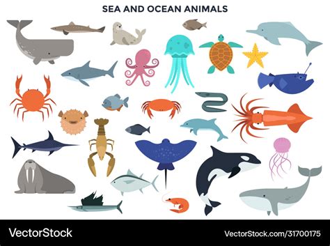 Ocean Animals