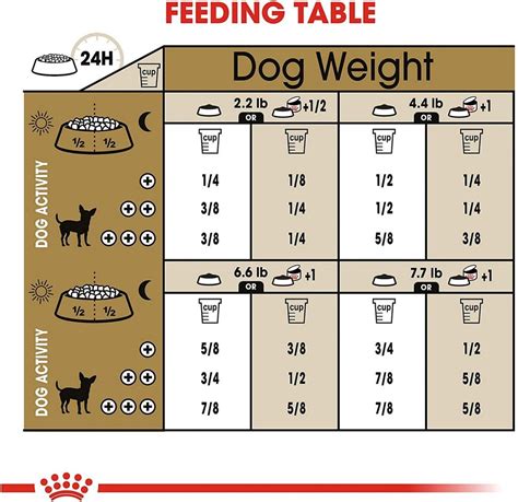 Royal Canin Breed Health Nutrition Chihuahua Dry Dog Food