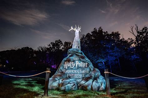 5 Things To Know Before Visiting NoVa's Harry Potter Adventure