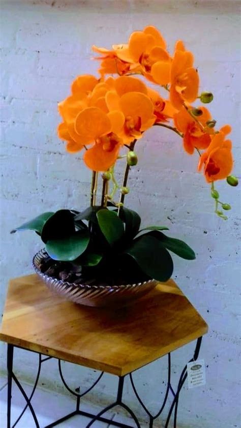 Pin de Linda Tuller em Linda Tuller :- Orchid | Orquídeas, Decoração com flores artificiais ...