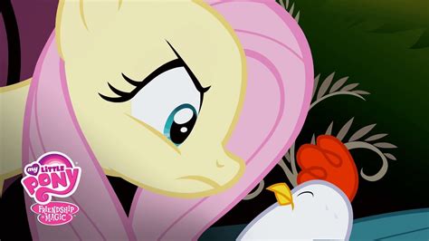 MLP: Friendship is Magic Season 1 - 'Fluttershy is the Stare Master' Official Clip - YouTube