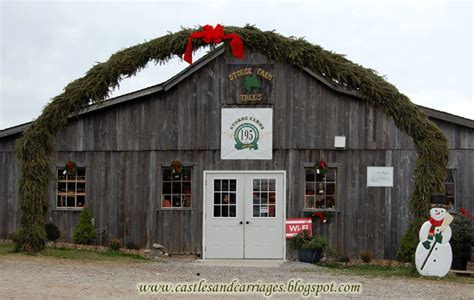 Apple Cider Donuts & Stokoe Farms