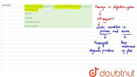 [Bengali Solution] Chromophil cells present on pharynx of Earthworm ta