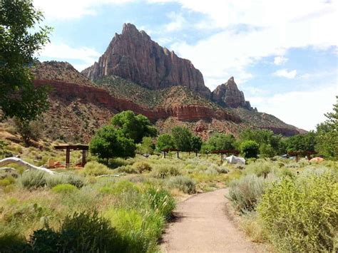 Watchman Campground Zion National Park