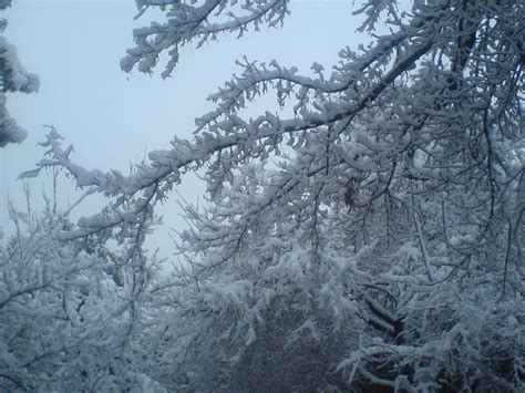 Mashhad Photo by mohsen | 6:55 am 19 Feb 2011