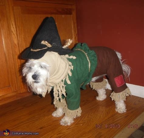 Cutest Scarecrow Dog Costume